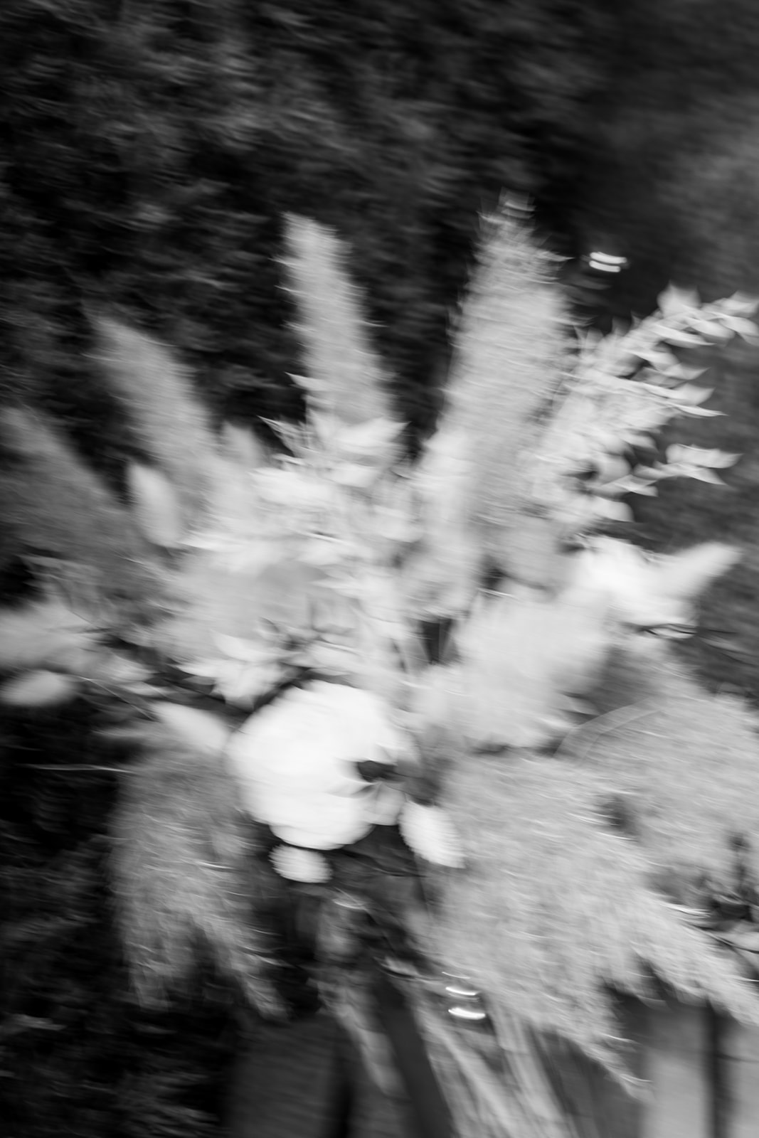 Bruidsfotografie Shoot by Sam